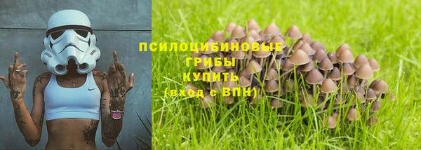 spice Арсеньев