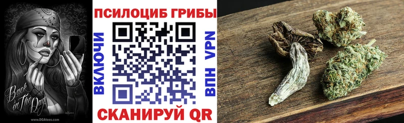 Псилоцибиновые грибы Psilocybe  закладки  Инсар 